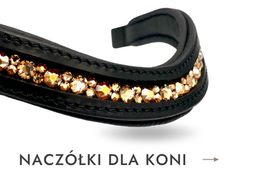 naczolki dla koni