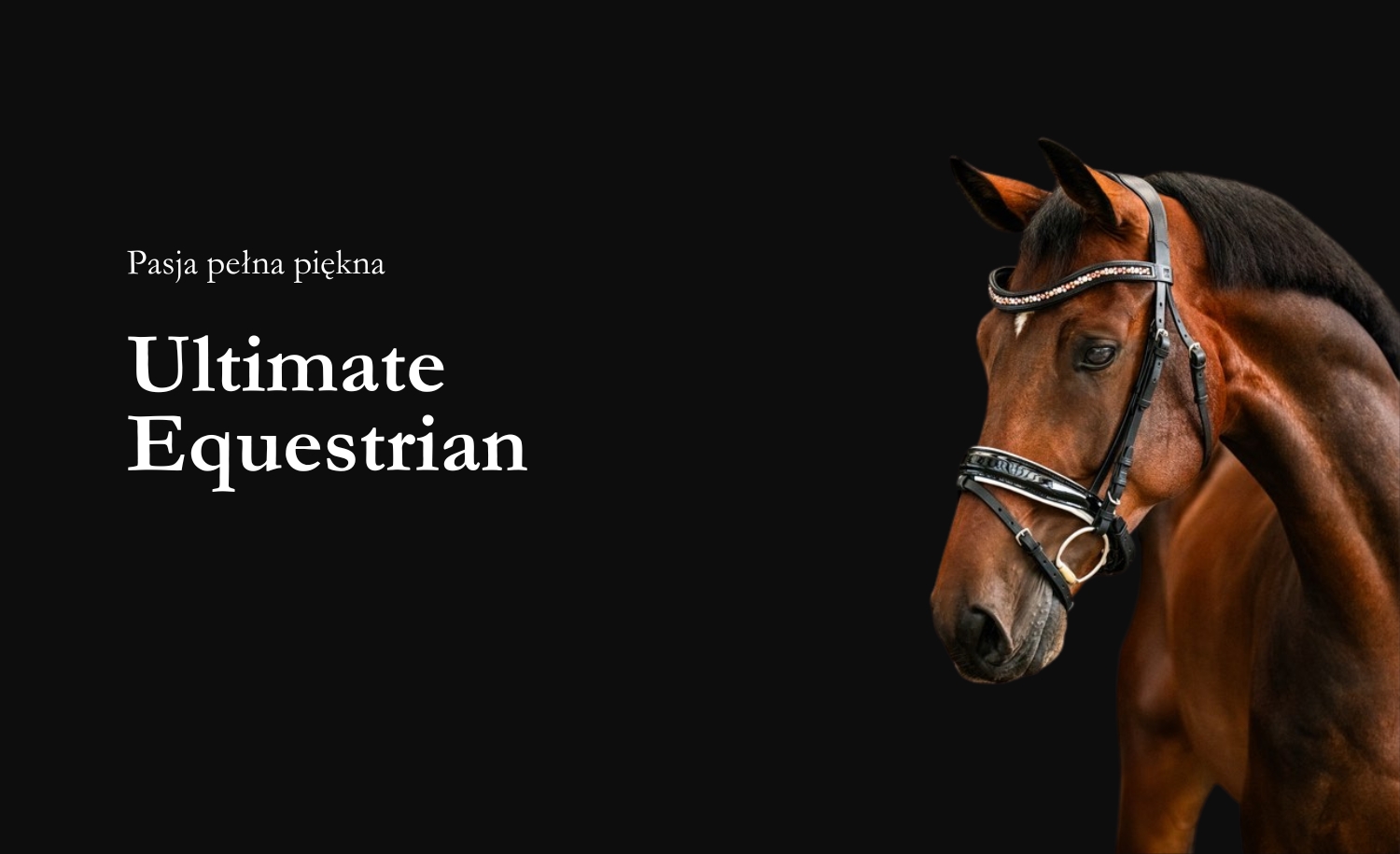 baner slajd kon w naczolku viavissa